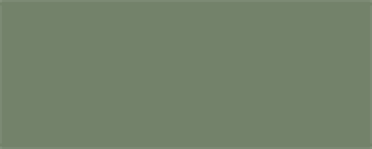 Pale Eucalypt (Mist Green)